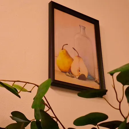 Gemuetliches Appartement